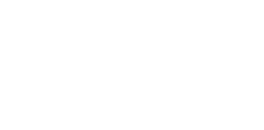 Toros-Logo2